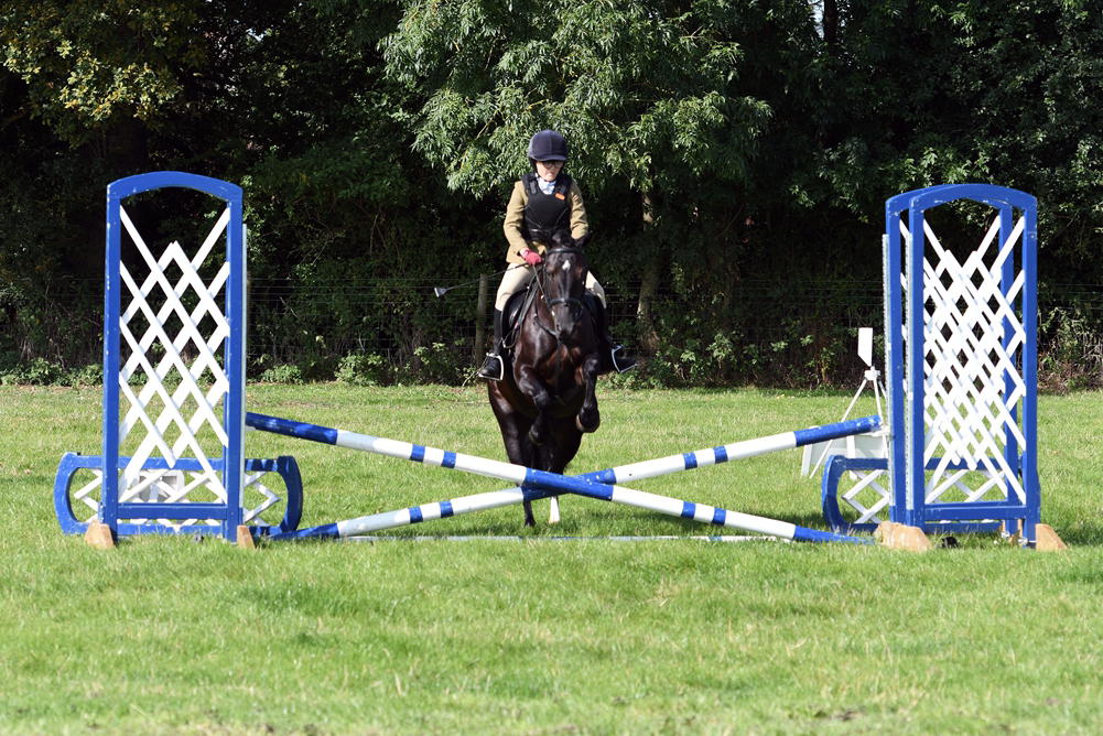 34th Annual Show 162