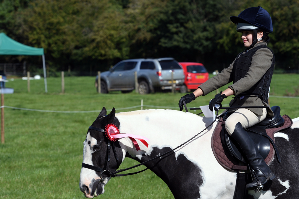 34th Annual Show 178