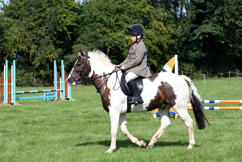 34th Annual Show 189