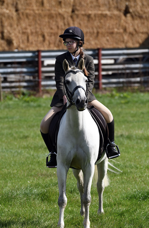 34th Annual Show 176