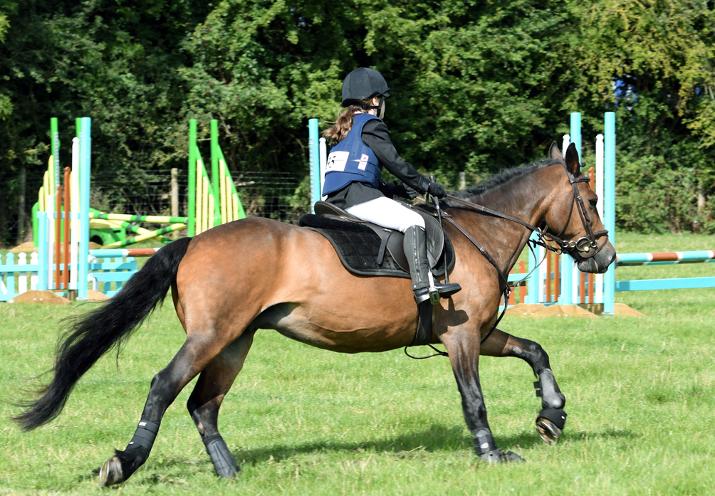 34th Annual Show 188