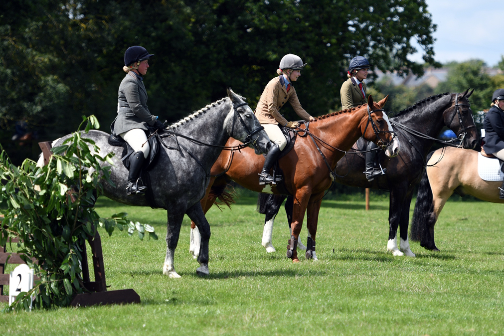 34th Annual Show 108