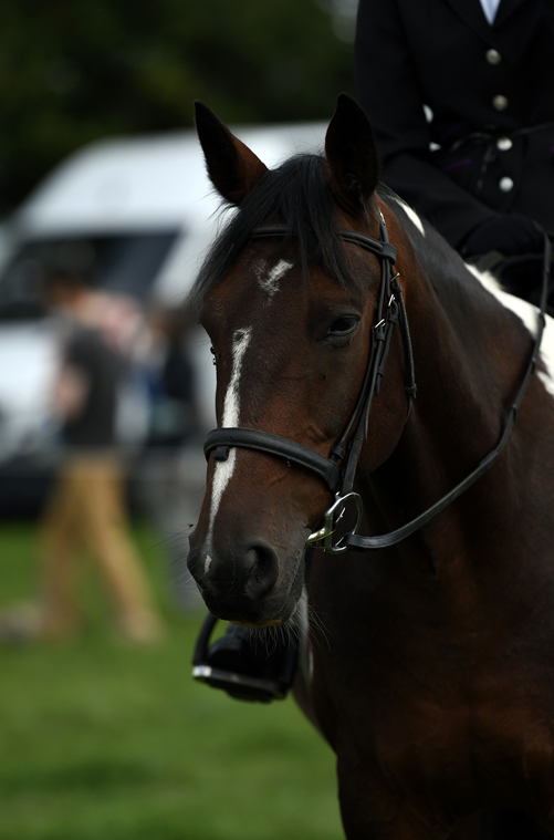 34th Annual Show 68