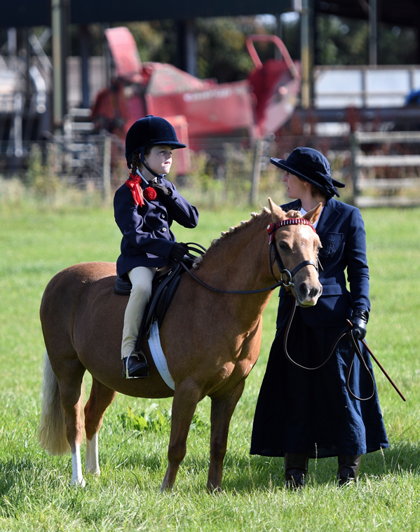 34th Annual Show 145