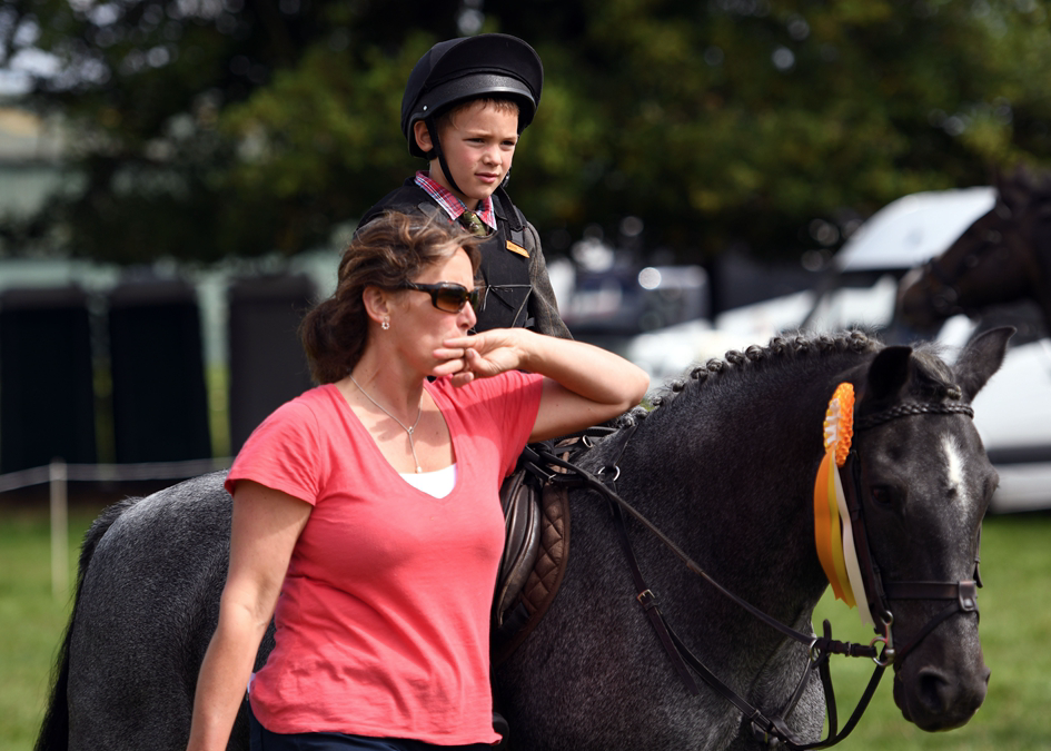 34th Annual Show 39