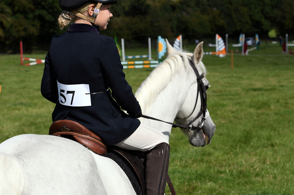 34th Annual Show 184