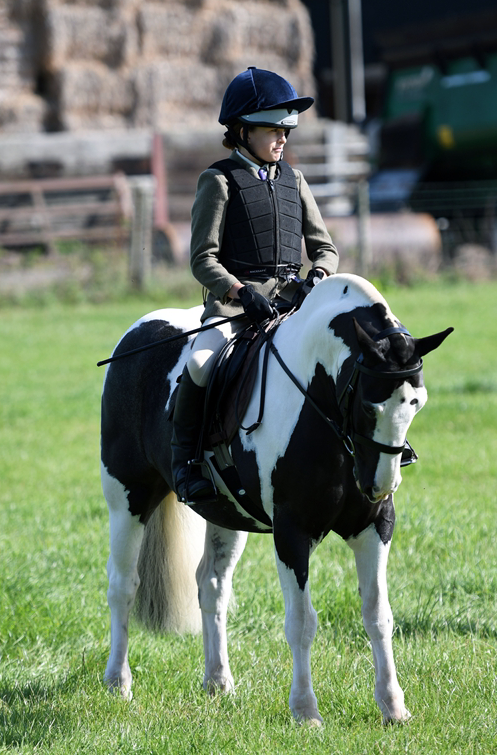 34th Annual Show 146