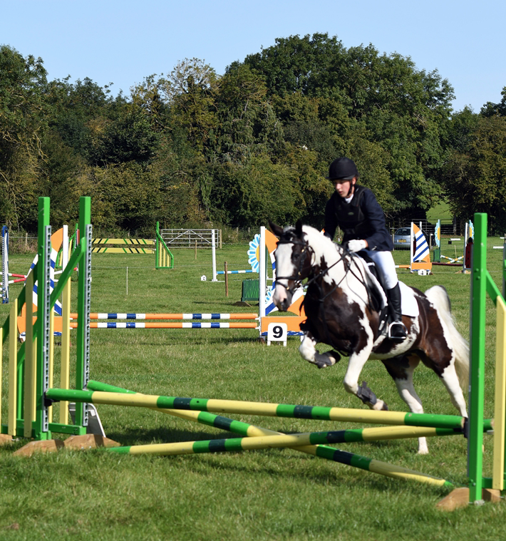 34th Annual Show 131