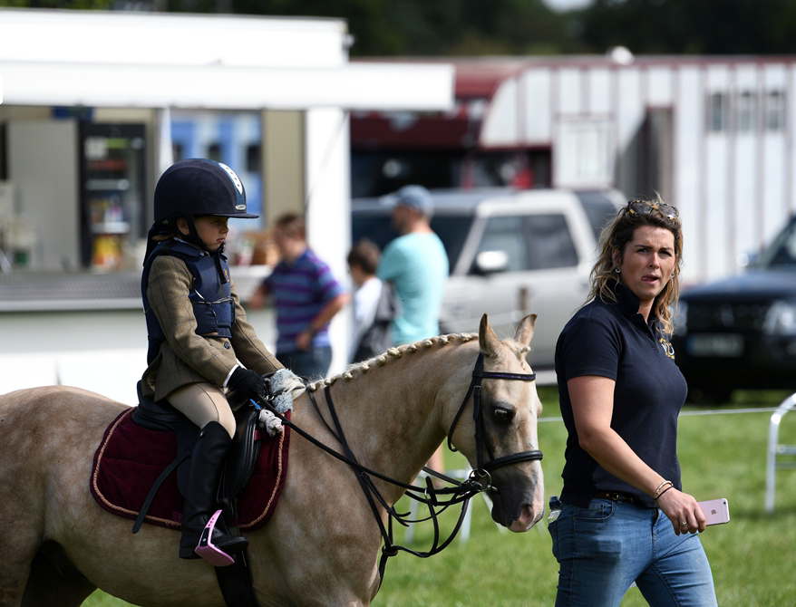 34th Annual Show 38