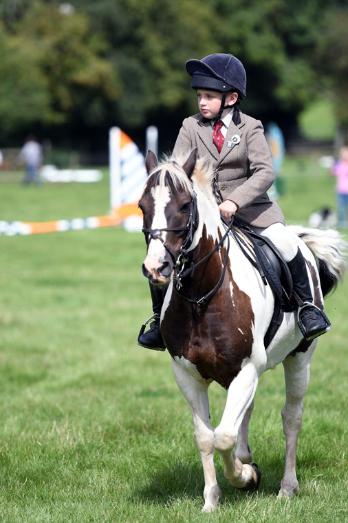 34th Annual Show 34