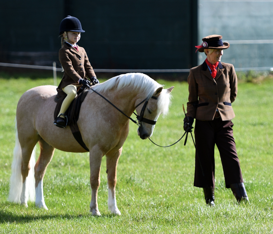 34th Annual Show 151