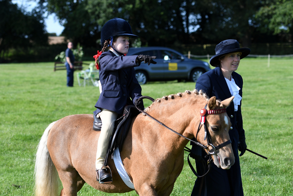 34th Annual Show 110