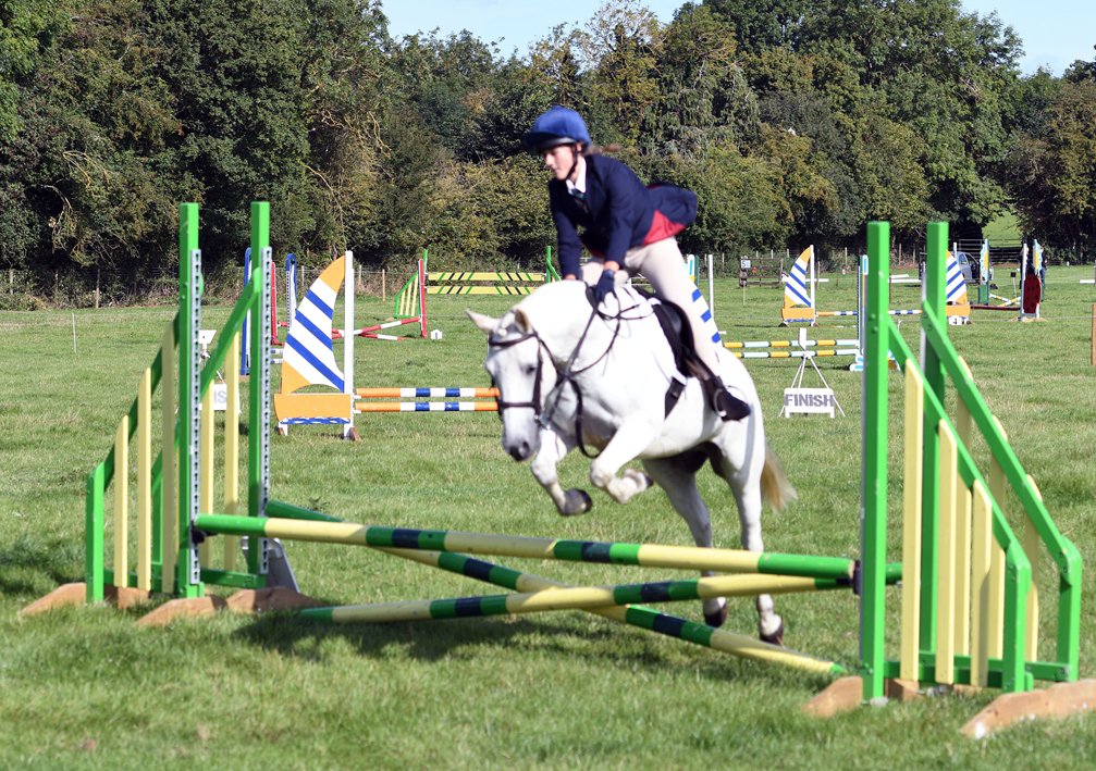 34th Annual Show 135