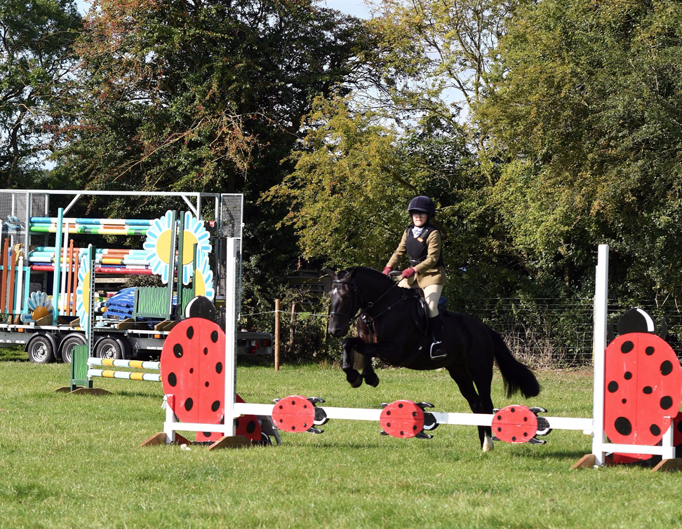 34th Annual Show 164