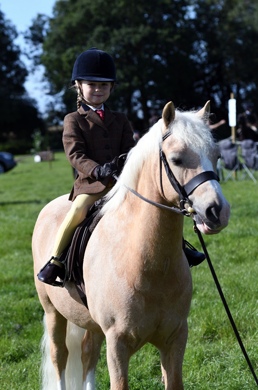 34th Annual Show 138