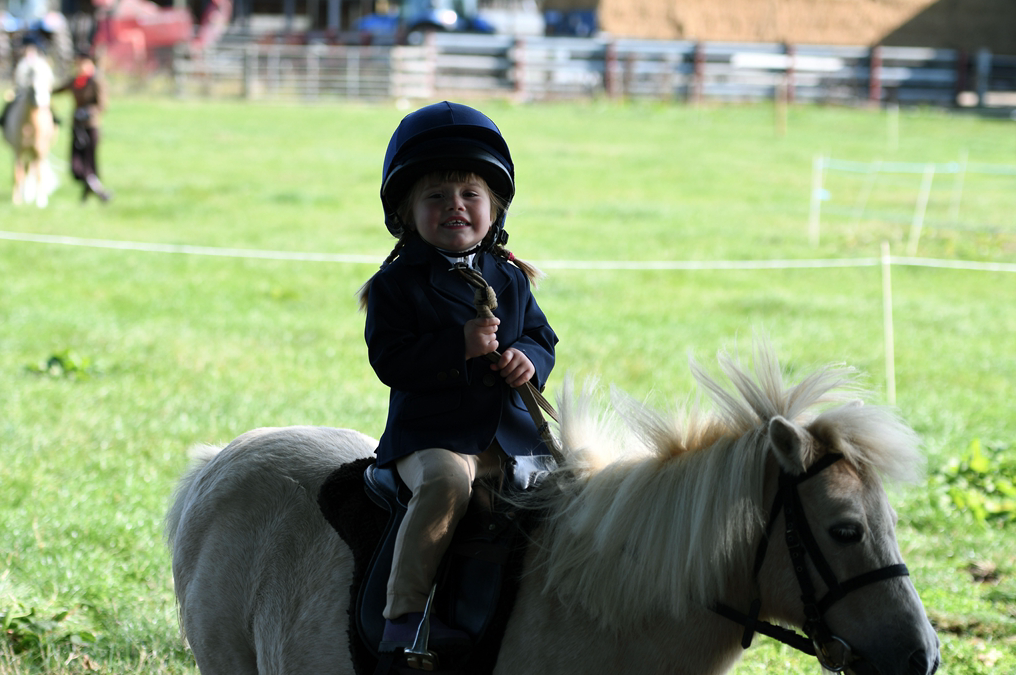 34th Annual Show 157