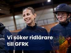 Är du vår nya ridlärare?