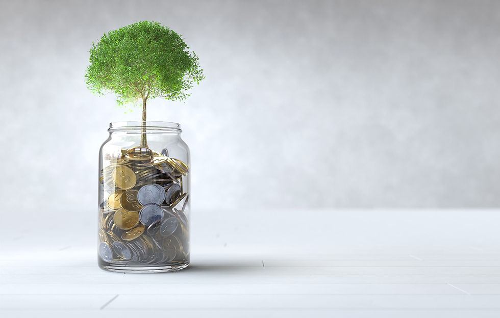 Impact Investing.jpg