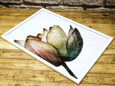 molduras para quadros