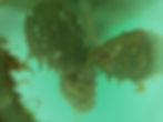 Dirty Propeller
