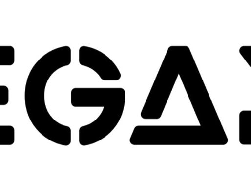 Logo hegamex