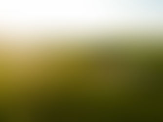 Trends in Machinery for Agribusiness: What's New in the Market?