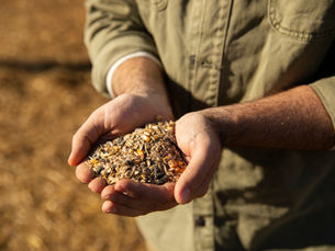 The Art of Transforming Grains into Gold: Discovering the World of Grain Breakers.