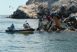 10 de noviembre 2022 sonora.jpg