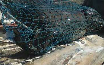 21 de abril 2020.jpg