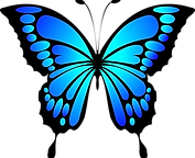 butterfly-2028591_1280.png