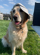 IMG_59861.jpg