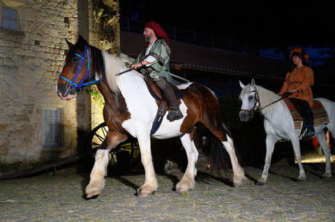 Image du spectacle des Nuits d'Aldéarde