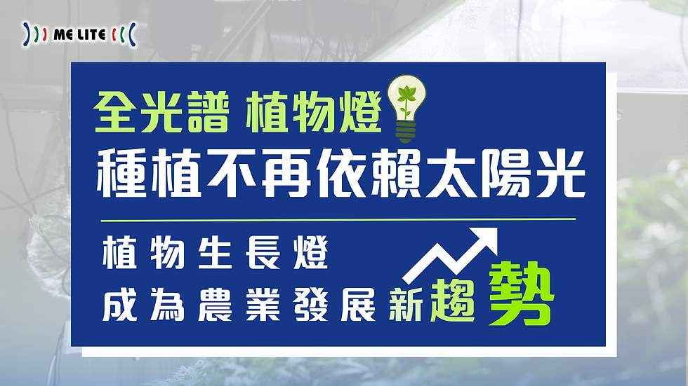 【全光譜 植物燈 :種植不再依賴太陽光】 植物生長燈 成為農業發展新趨勢|香港照明 |ME Lite