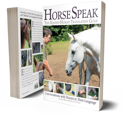 Horse Speak / Gretchen Vogel and Sharon Wilsie