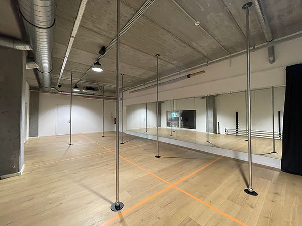 Pole Arena Paaldans Gent Dok Noord