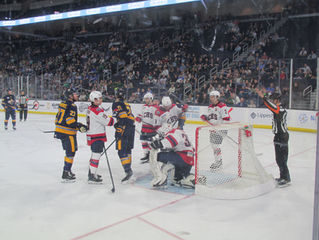 Now, we have a series. The South Carolina Stingrays and Atlanta Gladiators lock horns at the Gas South District tied at 1 in their 1st round playoff series