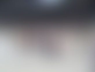 Now, we have a series.  The South Carolina Stingrays and Atlanta Gladiators lock horns at the Gas South District tied at 1 in their 1st round playoff series