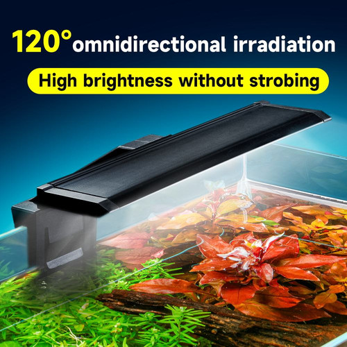 Aquascaping | Verlichting: Lampen Aquascaping | Verlichting: Lampen