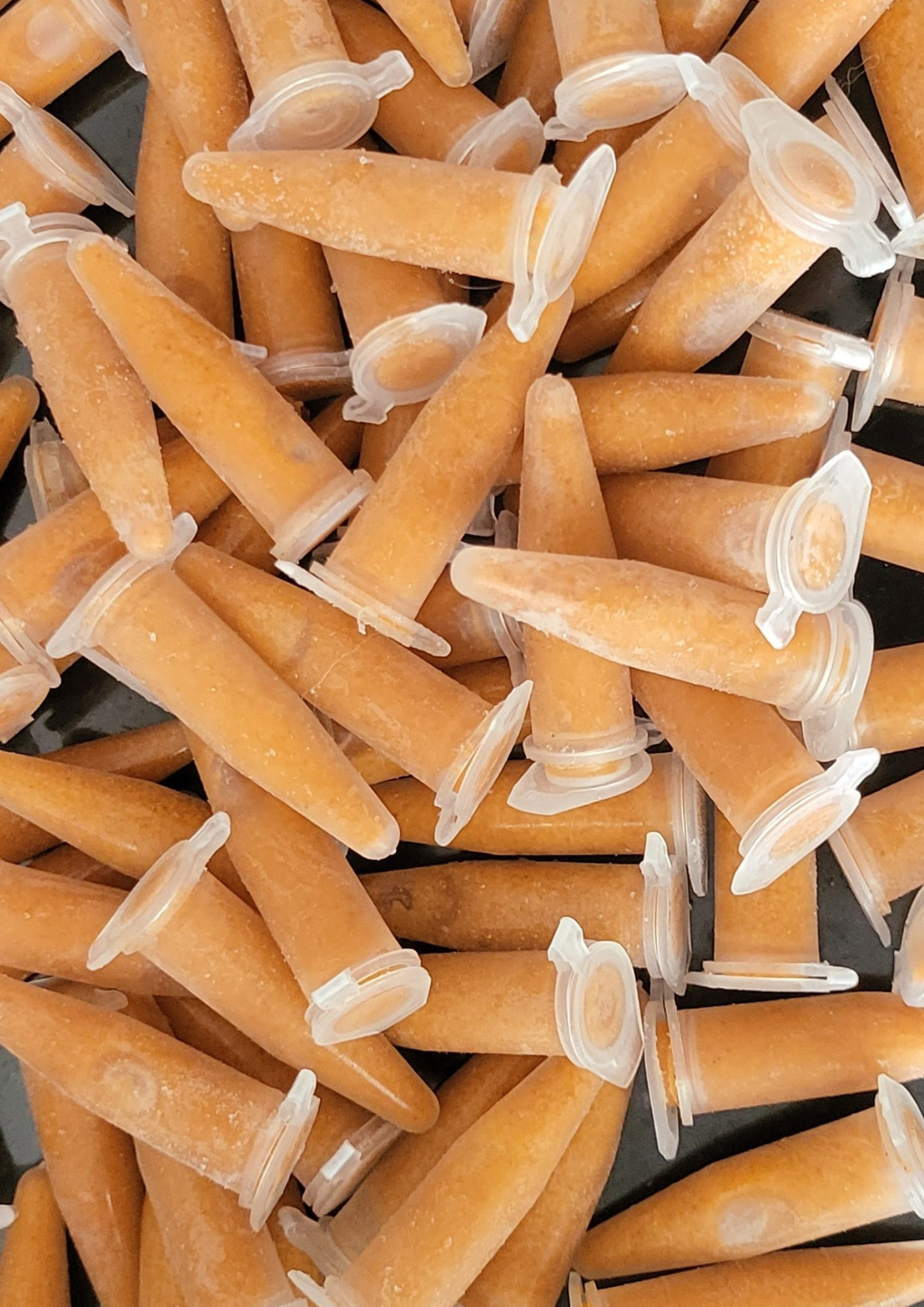 1.5ML Frozen baby brine shrimp (BBS)