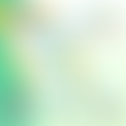 2025年12月 | 別有「動」天運動計劃