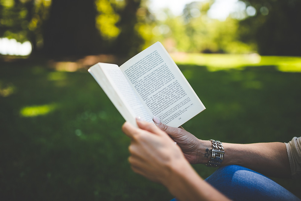 Adventures in Wonderland Blog Katrina Kusa Book Review