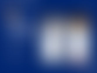 𝗙𝗮𝗸𝗲 𝗣𝗮𝗴𝗲 𝗔𝗹𝗲𝗿𝘁