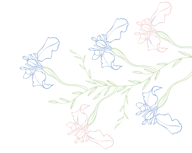 MR Website Design-2_edited.png