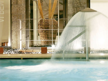 ingresso%20alpen%20spa_modificato_edited.jpg