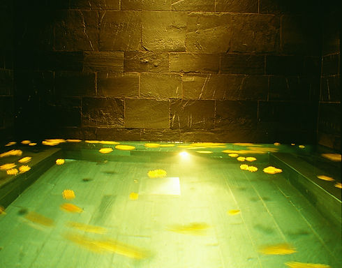 Grotta dei Sogni Alpen SPA.jpg