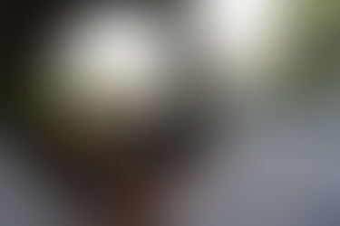 En bref: reprise des livraisons après le confinement du printemps 2020