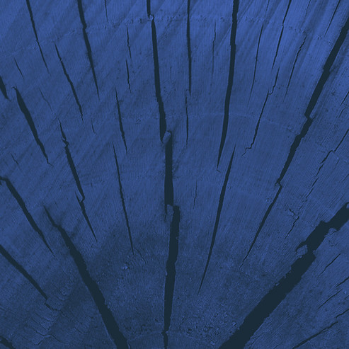 Blue Wood