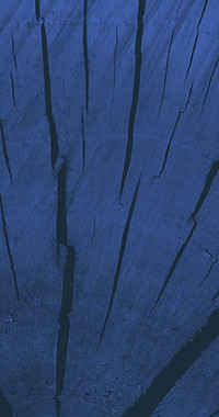 Blue Wood