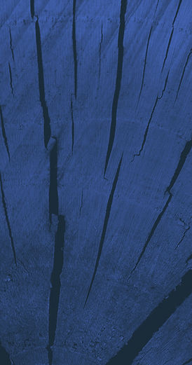 Blue Wood