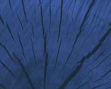 Blue Wood